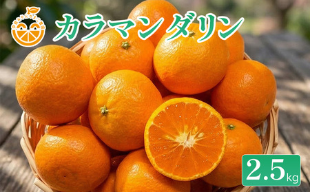 【2027年3月下旬から順次発送予定】中島産 カラマンダリン 約2.5kg 中島みかんのまこ農園 | みかん ミカン オレンジ おれんじ カラマンダリン フルーツ 愛媛 松山【PWA0041】