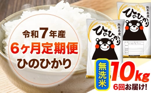 令和7年産【6ヶ月定期便】 無洗米 ひのひかり 10kg 《お申込み翌月から出荷》 熊本県産 無洗米 精米 ひの 送料無料 熊本県 山江村 SDGs 米 コメ こめ 国産