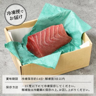 ふるさと納税 焼津市 焼津港水揚げ ・南まぐろ(a10-430) |  | 03