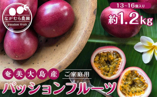 
            【先行受付】奄美大島産 パッションフルーツ ご家庭用 1.2kg（13～16個入り）＜ながむら農園＞
          