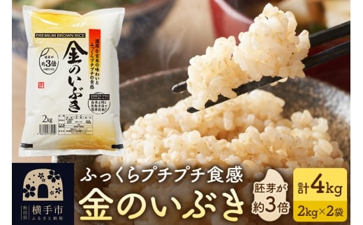 【玄米】米 金のいぶき 4kg(2kg×2袋) 令和7年産