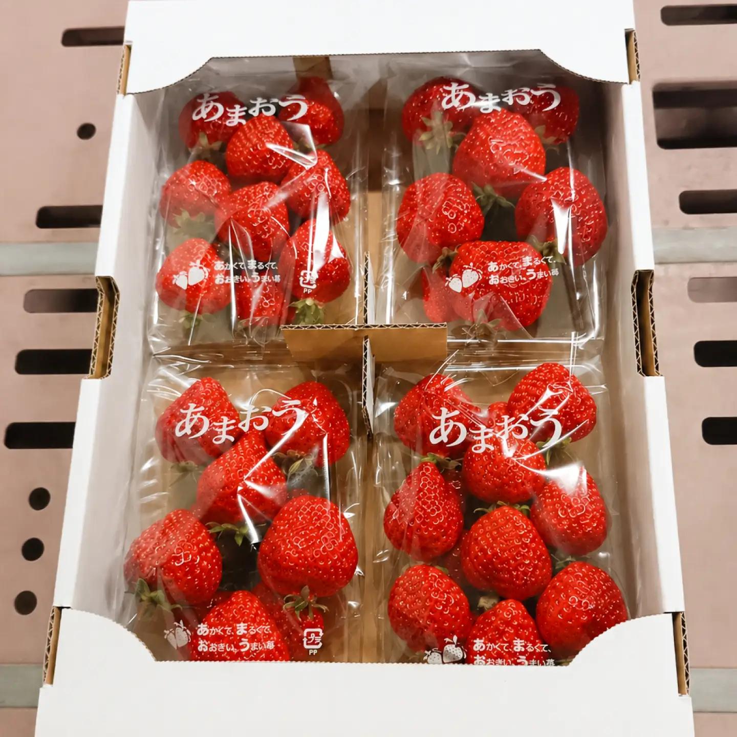【先行受付】【訳あり】あまおう 4パック いちご 270g×4パック(1.08kg)　【2027年1月以降順次発送】 / 果物 苺 / 糸島市 / 株式会社フルコンス[ALO003]