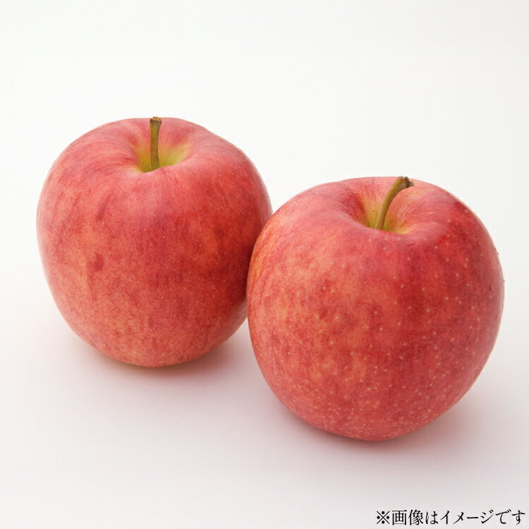 【ふるさと納税】【期間限定発送】 りんご 高畠町産 涼香の季節 14〜18玉 5kg [tk06ays870025 山形県 高畠町 JA山形おきたま] 果物 くだもの フルーツ 林檎 リンゴ 産地直送