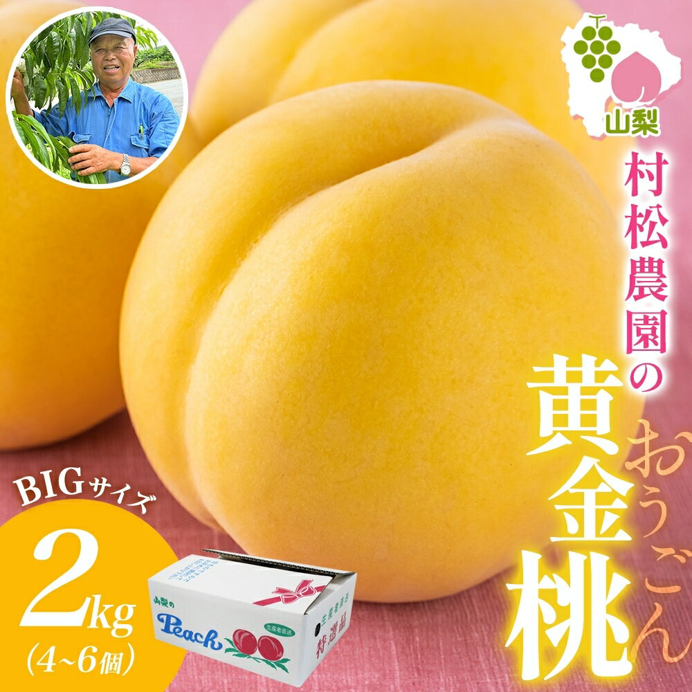 【ふるさと納税】＜25年発送先行予約＞村松農園 黄金桃 2kg 4～6玉 もも モモ 桃 黄桃 旬 産地直送 大玉 完熟 果物 フルーツ 新鮮 人気 美味しい 贈答 ギフト お中元 村松農園 送料無料 笛吹市 177-5-005