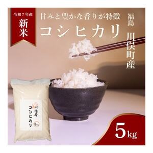 川俣町産 コシヒカリ 精米 5kg【1682407】