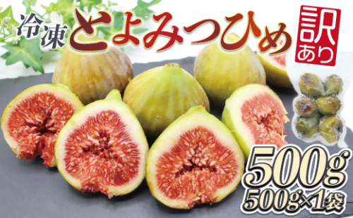 福岡県産いちじく「とよみつひめ」　冷凍パック500g（500g×1袋）[G2325]
