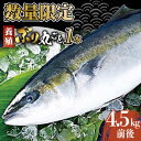 【ふるさと納税】【出荷日限定 年末のご馳走に！】五島から新鮮なブリ 丸ごと1本 約4.5kg～5.0kg(内臓処理済) 五島市/奈留町漁業協同組合[PAT024]