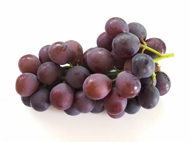 【ふるさと納税】【先行受付】伊那市産 ぶどう (ピオーネ) 約1kg【011-98】| ピオーネ フルーツ 伊那市産 種無 南アルプス 信州 甘い ぶどう 葡萄 甘い 長野県 伊那市 ふるさと納税