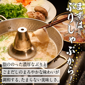 ＜先行予約受付中！2026年10月下旬より順次発送予定＞特製ごまだしで食べる！ブリしゃぶセット (合計400g・佐伯産かぼすぶり200g・献上品ぶり200g) 魚 さかな 鰤 鰤しゃぶ ぶりしゃぶ ス