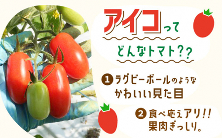【甘くてジューシー】ミニトマト アイコ 2.0kg【C&T farm】 [QBG002] [QBG002]