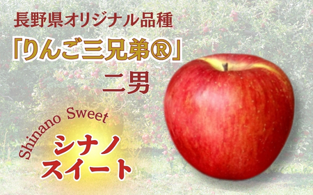 りんご シナノスイート 長野県オリジナル品種 約3kg りんご三兄弟 次男｜ りんご