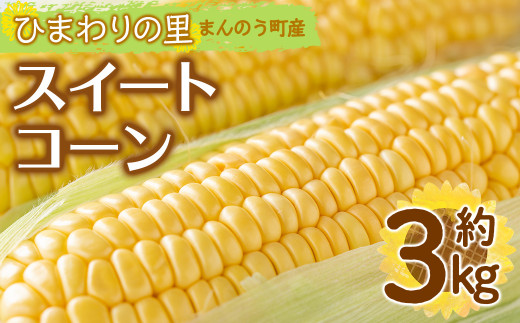 ＜期間限定！2025年6月上旬以降順次発送予定＞イエローコーン(約3kg)  【man113】【Aglio nero】
