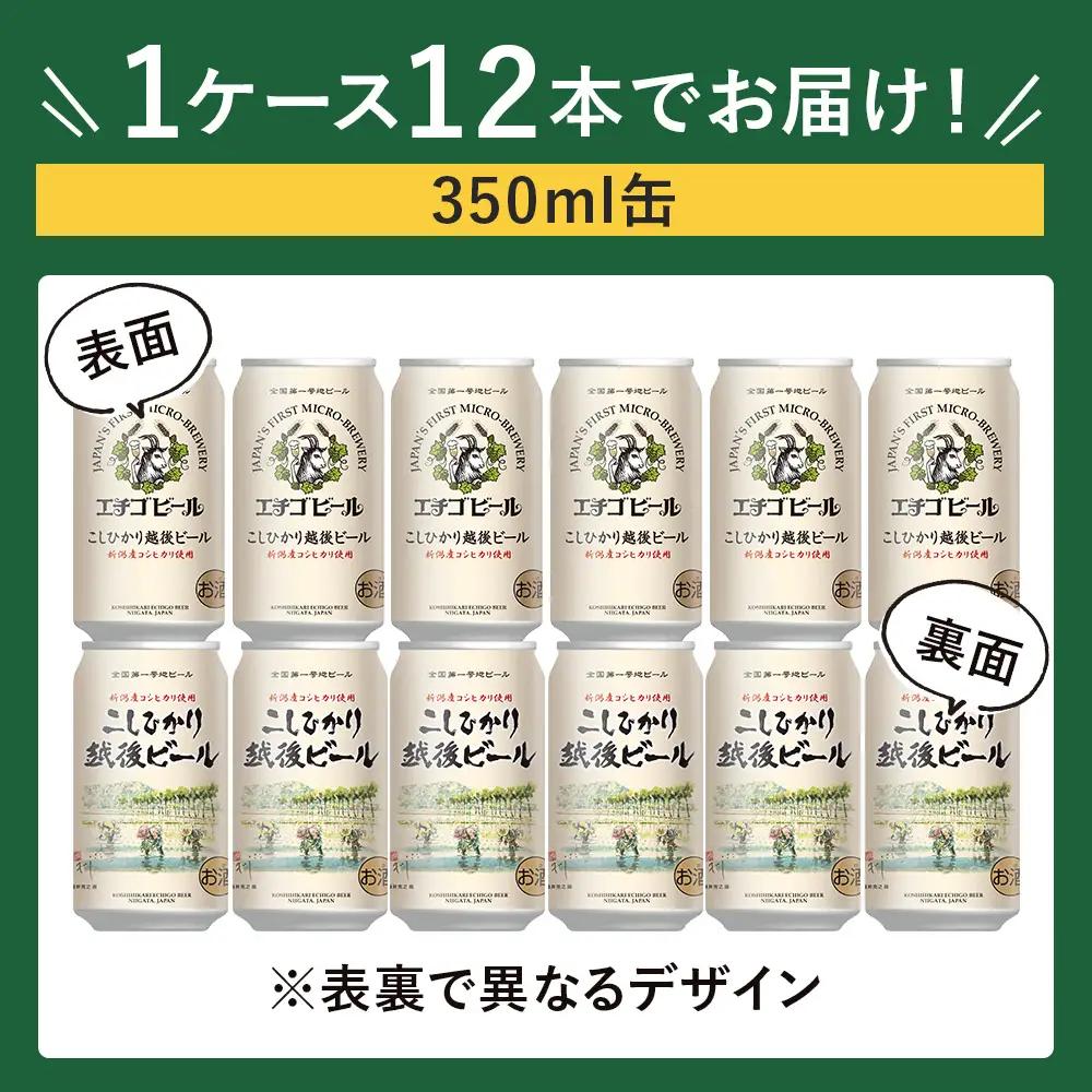 クラフトビール エチゴビール こしひかり越後ビール 350ml 缶 12本 〔P-446〕【最短3日発送】ビール 地ビール コシヒカリ 那須町