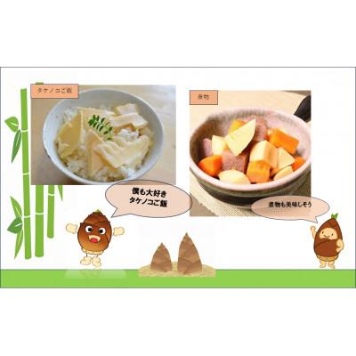 ふるさと納税 美祢市 たけのこの水煮　美祢っこ ハーフ150g×2個 |  | 02