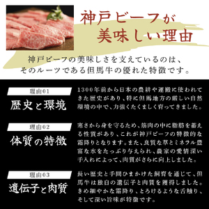 神戸牛 ステーキ 食べ比べ 7枚 Cセット 神戸牛