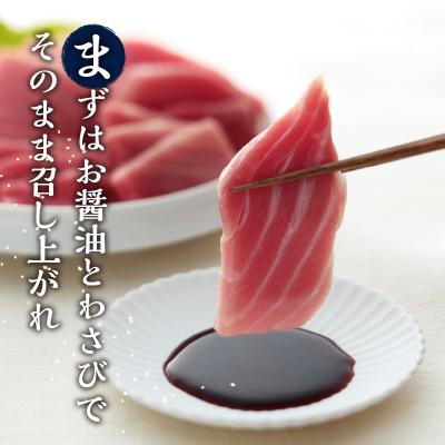 ふるさと納税 焼津市 定期便 天然本まぐろ 6回お届け(b300-015) |  | 02
