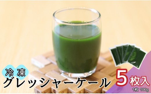 野菜 飲料 料理 ケール 5枚 国産 無農薬 朝どれ 新鮮 急速冷凍 遠藤青汁 伊予市 愛媛｜A119
