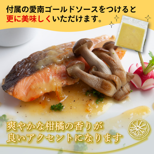 訳あり 鮭切身 約1kg サケ しゃけ 魚 鮭