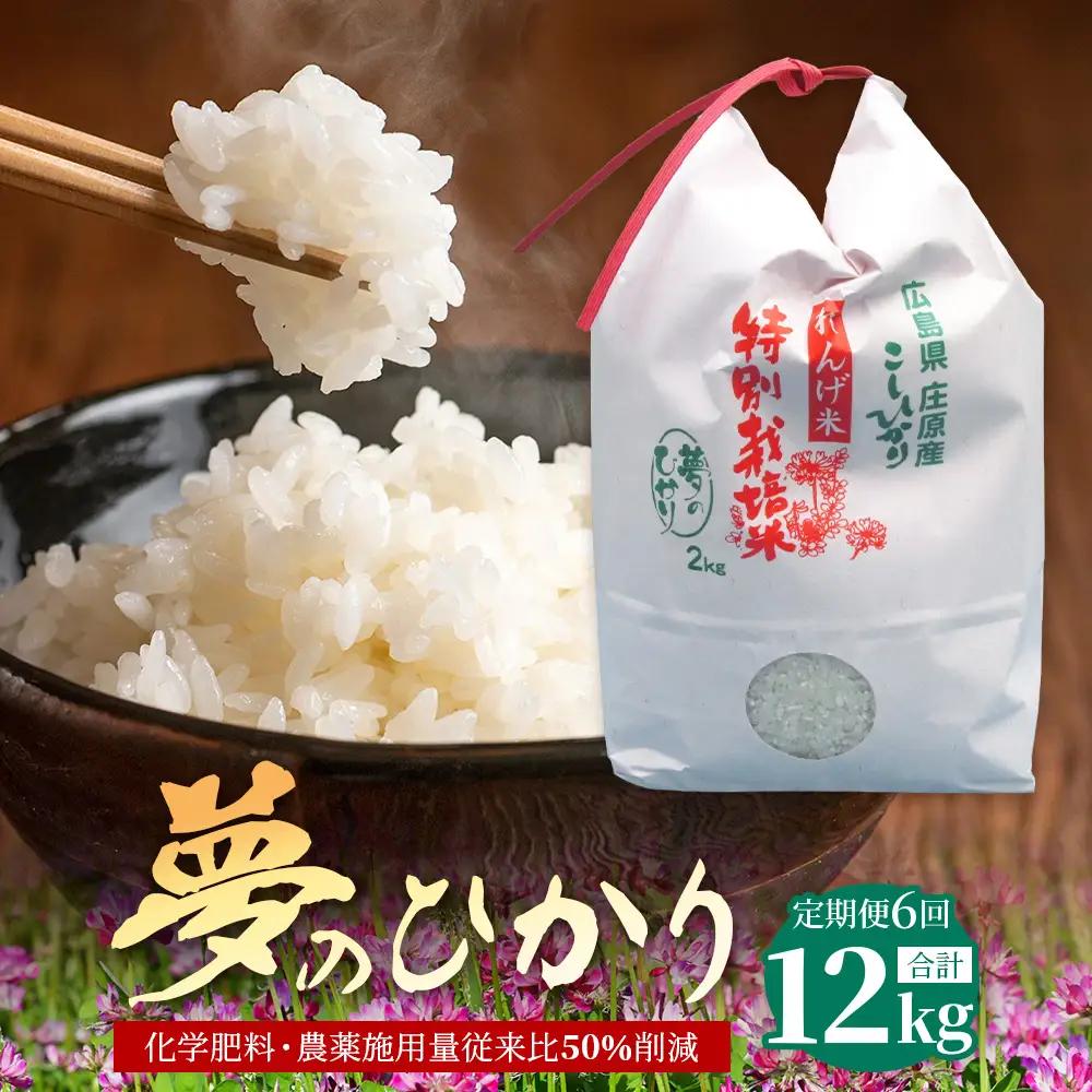 定期便 6回配送 新米 予約受付 令和8年産 れんげ米「夢のひかり」2kg×6回 合計12kg 精米 こしひかり コシヒカリ お試し 広島 庄原 6ヶ月 6か月 6ヵ月