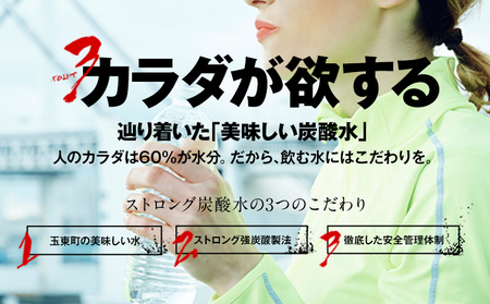 【6ヶ月定期便】強炭酸水12箱（計6回お届け 合計12ケース: 500ml×288本）《お申込み月の翌月から出荷開始》強炭酸水 熊本県玉東町産の水を使用! クリアで爽快な喉越し！くまもと風土の強炭酸水