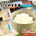 【ふるさと納税】令和6年産 米 ササニシキorひとめぼれ 定期便 10kg × 10回 お米 精米 白米 環境保全米 ご飯 こめ コメ