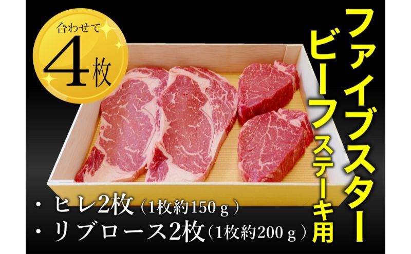 ファイブスタービーフステーキセット（ロース2枚、ヒレ2枚）ステーキ肉 肉 牛 牛肉 ニュージーランド産 市原市 千葉
