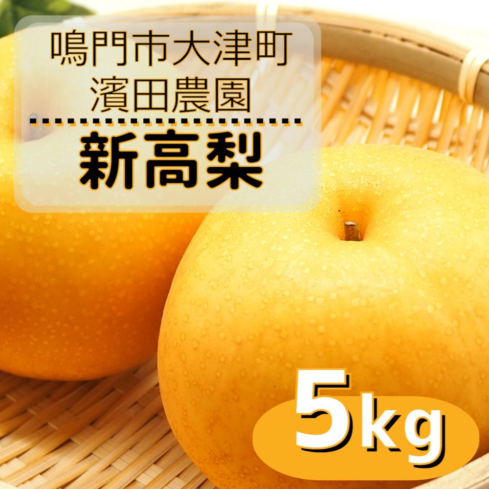 【ふるさと納税】【予約受付中・9月下旬～10月上旬頃より順次発送】濱田農園 新高梨 約5kg 【数量限定】 徳島県産 梨の王様 和梨 豊水 幸水 国産 鳴門