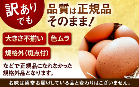 ＼訳あり／【TVで紹介！】【鮮度ＡＡ級の世界最高ランク！】金太郎卵 平飼い たまご 18個（6個×3パック）＜有限会社フジノ香花園＞那珂川市[GAM040]