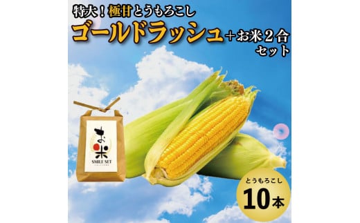とうもろこし 米 セット ゴールドラッシュ 10本 約 4kg コメ 2合 お米 アキサカリ ごはん 先行予約 えがおセット トウモロコシ コーン スイートコーン 甘い とうもろこしご飯 レシピ付き 期間限定 夏 旬 野菜 鍋 炒め物 煮物 スープ 弁当 惣菜 おかず 健康 新鮮 国産 送料無料 吉野川市 徳島県