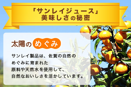 工場直送！佐賀県産温州みかん使用 《ちかっとみかん》 330ml×12 計3960ml みかん フルーツ 果物 飲料 佐賀県産 オレンジ ミカン 温州みかん 柑橘 国産 人気 おやつ 朝食 送料無料 