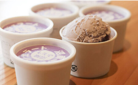 【全3回定期便】沼南ミルクジェラート 沼隈ぶどう ６個　アイス  ぶどう  アイス アイスクリーム デザート スイーツ ご当地 広島県福山市/甚ごろう[BAEC042]