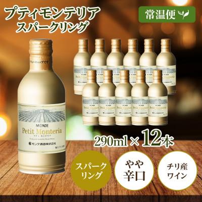 ふるさと納税 笛吹市 プティモンテリア スパークリング 290ml×12本入 モンデ酒造 山梨県 笛吹市 |  | 03