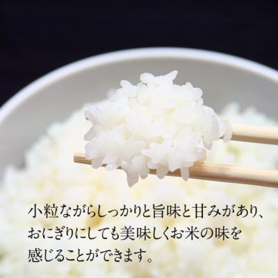 ふるさと納税 小城市 日本の棚田百選選定　江里山(えりやま)の棚田米(5kg) |  | 01