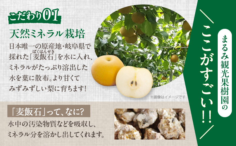 先行予約≪期間限定≫まるみ観光果樹園の『豊水梨』(約3kg) なし 果物 フルーツ 天然 ミネラル栽培_T036-0015