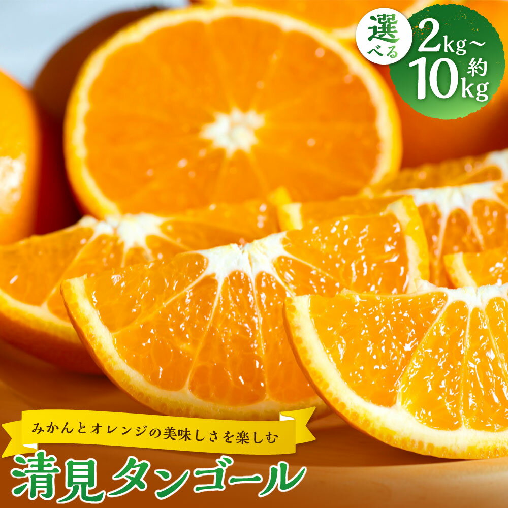 【ふるさと納税】清見タンゴール M～2L混合 ＜選べる内容量＞【みかんとオレンジの美味しさを楽しむ】 約2kg / 約4kg / 約5kg / 約10kg 柑橘 かんきつ フルーツ くだもの 果物 国産 愛媛県産 送料無料 【2027年2月下旬～5月上旬発送予定】（1062）（1063）（1064）（1065）