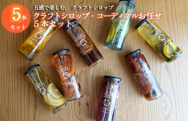 
            【圧倒的企業努力】クラフト飲料シロップ5本セット おまかせ いずみピクルス NSW スピード発送
          