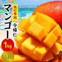 【先行予約】 今帰仁 マンゴー A級 1kg 【2023年6月～8月頃発送】 生産者直送 国産 沖縄 アップルマンゴー