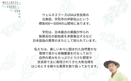 定期便 3回 よもぎ 入浴剤 計25包 （ 1袋 5包入り × 5個 ) ／ ウェルネスフーズUDA ふるさと納税 無添加 有機栽培 ハーブ バス用品 風呂 奈良県 宇陀市