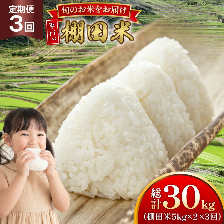 【ふるさと納税】米 令和7年 棚田米 5kg 2袋 計 10kg 3回 定期便 総計30kg [ひらど新鮮市場 長崎県 平戸市 hr42bgy400181] 令和7年産 コメ こめ ごはん ご飯 こしひかり ひのひかり にこまる