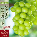 【ふるさと納税】家庭用【2025年先行予約】フルーツ王国信州産地直送　シャインマスカット　約2kg(2～5房)_ シャインマスカット ぶどう 葡萄 果物 くだもの フルーツ 人気 おすすめ 送料無料 産地直送 家庭用 長野 信州 【配送不可地域：離島】【1576728】