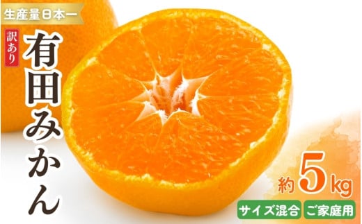 紀州有田みかん 訳あり 約5kg キズ ご家庭用 サイズ混合　※2025年11月下旬～2026年1月中旬頃より順次発送予定　※北海道・沖縄・離島配送不可【sml130A】