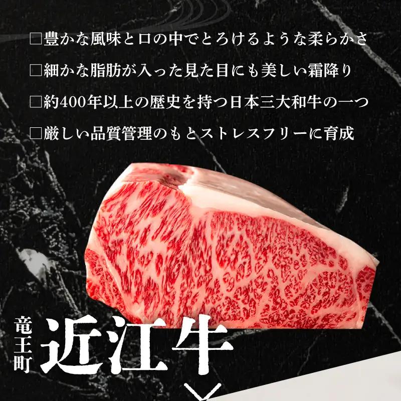 ハンバーグ10個 近江牛入り [RM201_FW]ハンバーグ