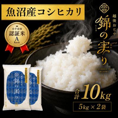 ふるさと納税 小千谷市 令和8年産 魚沼産コシヒカリ 精米 10kg 小千谷市ブランド認証米「錦の実り」Aランク