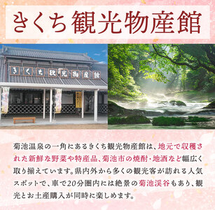 松風 桐箱入り 16 包 有限会社きくち観光物産館《90日以内に出荷予定(土日祝除く)》 熊本県 菊池市 和菓子 お菓子 松風 焼き菓子 伝統銘菓 ギフト 贈りもの 送料無料