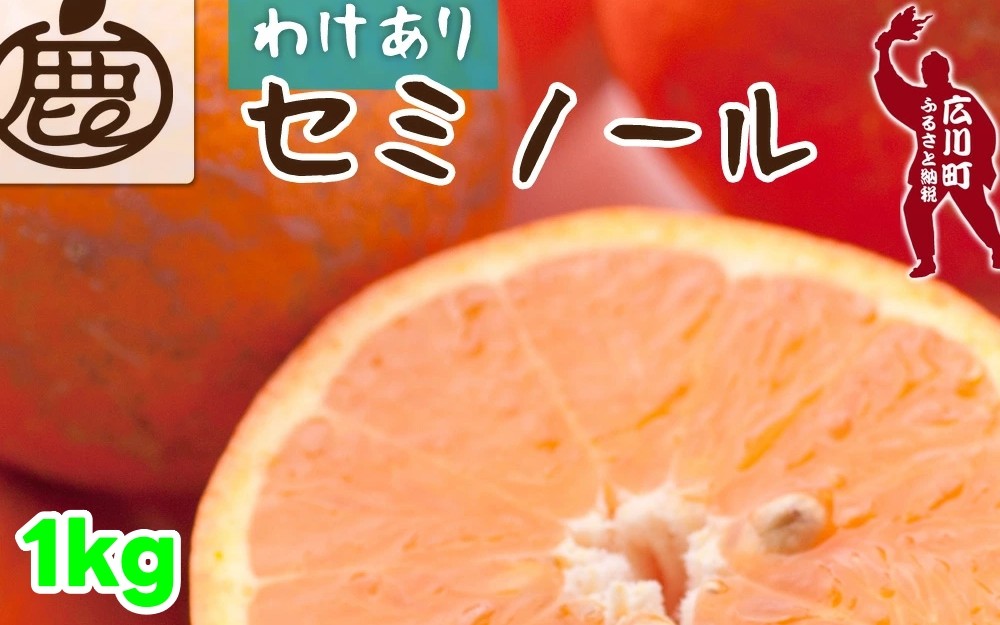 
            セミノール オレンジ 家庭用 1kg+250g（痛み補償分） 光センサー / みかん 甘い 訳あり 柑橘 晩柑 和歌山 有田 ※4月上旬～6月下旬ごろに順次発送 ※北海道・沖縄・離島への配送不可 【ikd016-c-1】
          