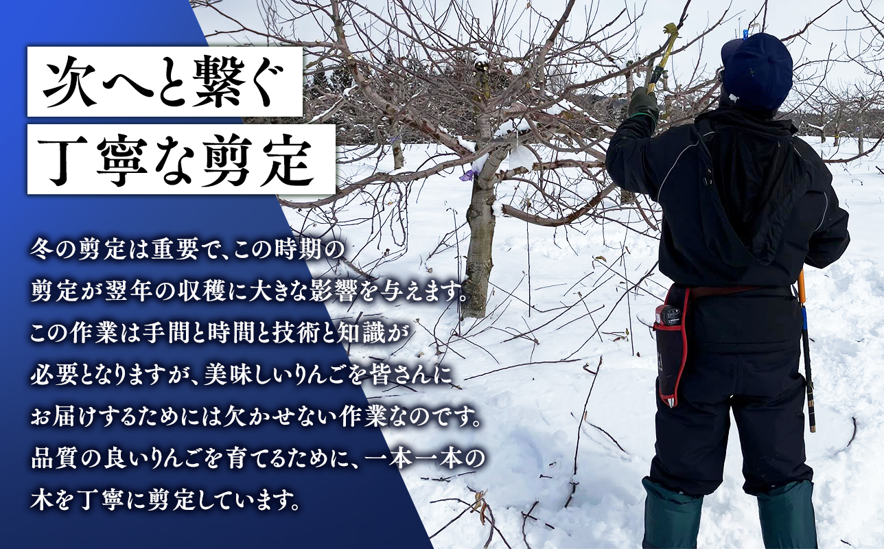 3月発送 【訳あり】旬のりんご詰め合わせ10kg【りんご・青森・平川・訳あり・家庭用・宮川商店・11月・12月・1月・2月・3月・4月】