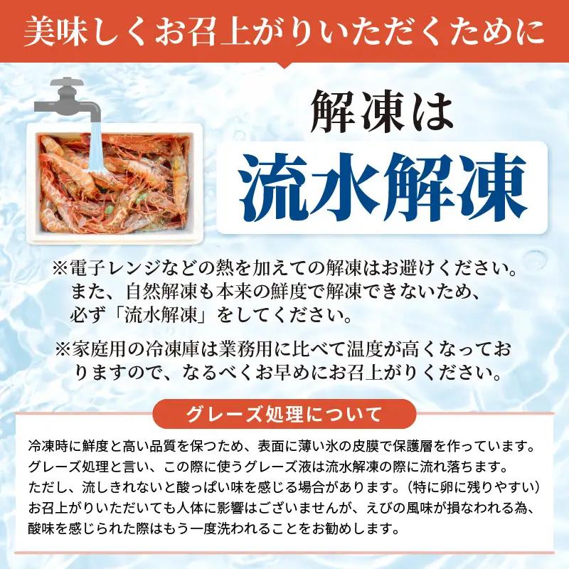 【発泡箱入り】がさえび 約600g エビ 冷凍 [A-23114]