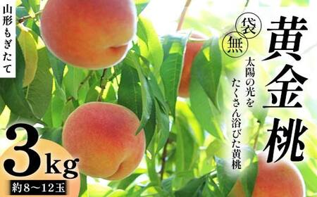 【先行受付 令和8年度発送】山形もぎたて『黄金桃』(無袋)約3kg FSY-2538