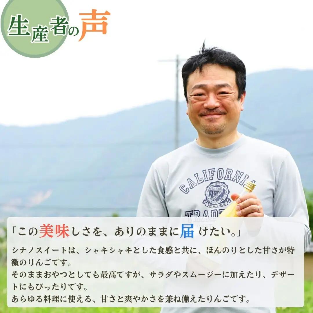 【2026年先行予約】りんご シナノスイート 6~11玉 約3kg|シナノスイート