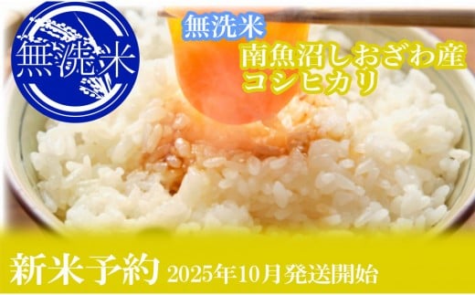 
            【令和7年産】定期便12ヶ月：無洗米5kg●南魚沼しおざわ産コシヒカリ
          